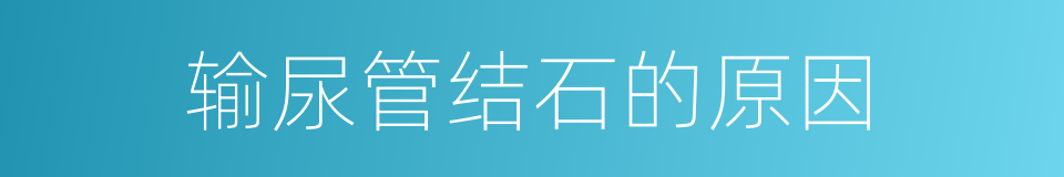 输尿管结石的原因的同义词