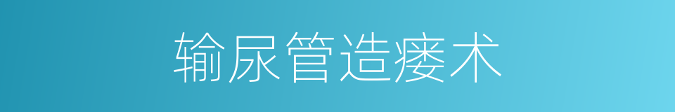 输尿管造瘘术的同义词