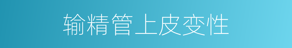 输精管上皮变性的同义词