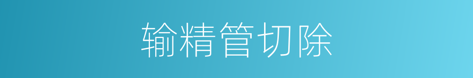 输精管切除的同义词