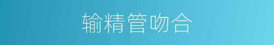 输精管吻合的同义词
