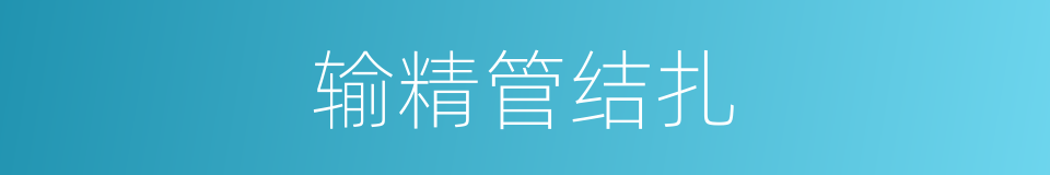 输精管结扎的同义词