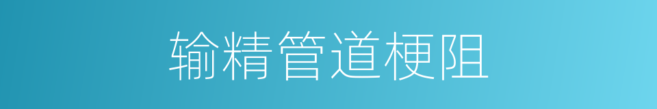 输精管道梗阻的同义词