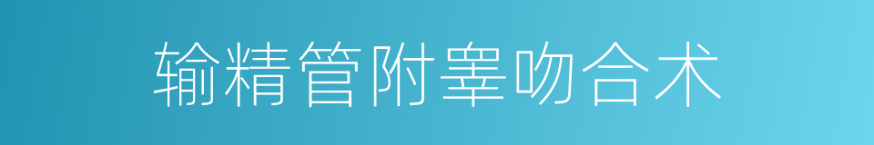 输精管附睾吻合术的同义词