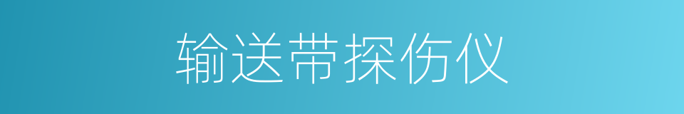 输送带探伤仪的同义词