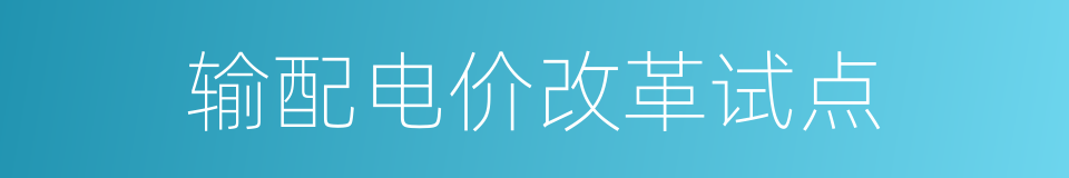 输配电价改革试点的同义词