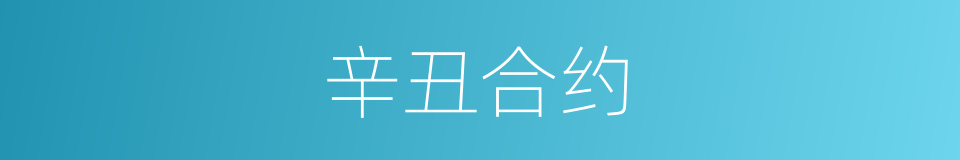 辛丑合约的同义词