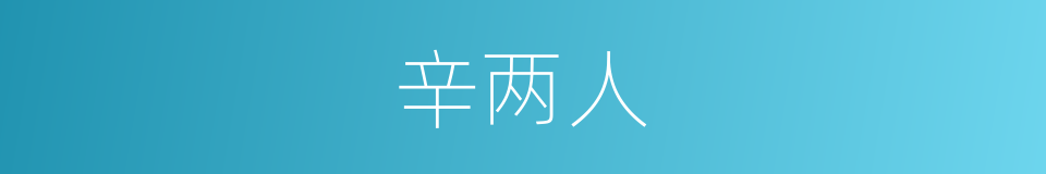 辛两人的同义词