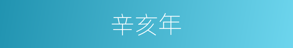 辛亥年的同义词