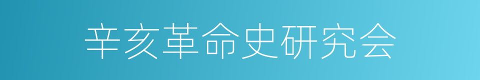 辛亥革命史研究会的同义词