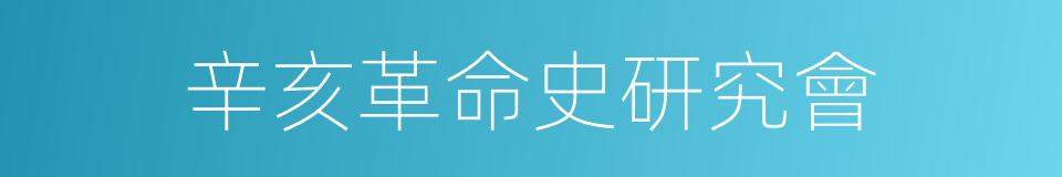 辛亥革命史研究會的同義詞