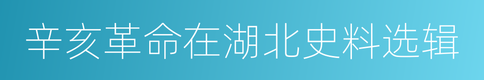 辛亥革命在湖北史料选辑的同义词