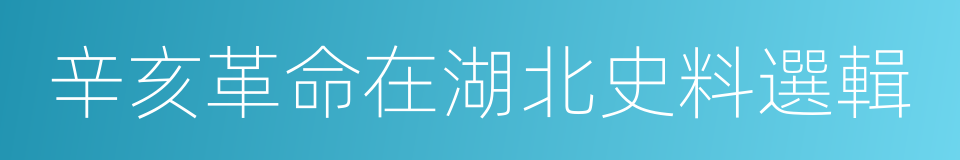 辛亥革命在湖北史料選輯的同義詞