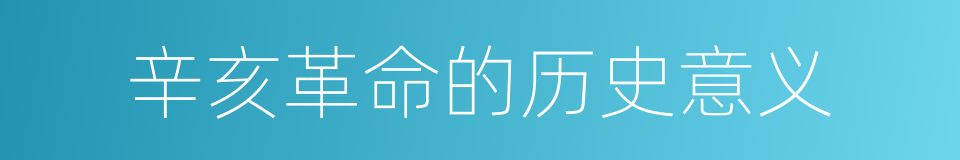 辛亥革命的历史意义的同义词