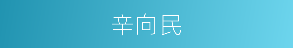 辛向民的同义词