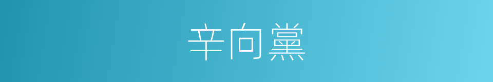 辛向黨的同義詞
