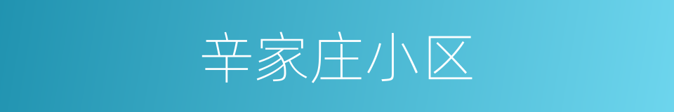 辛家庄小区的同义词