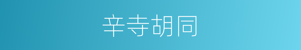 辛寺胡同的同义词