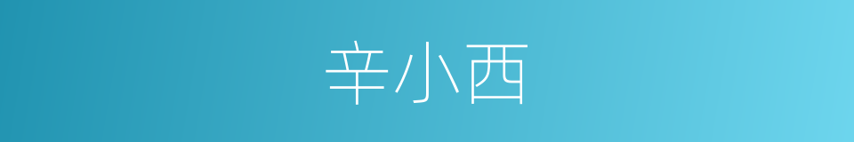 辛小西的同义词