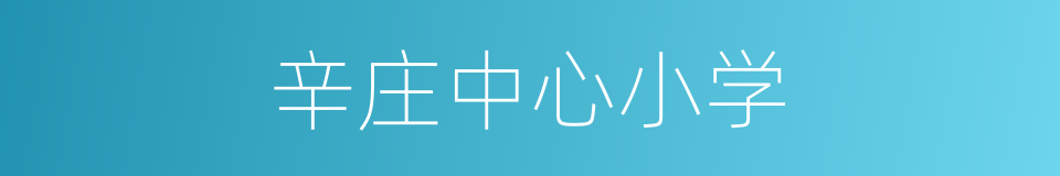 辛庄中心小学的同义词