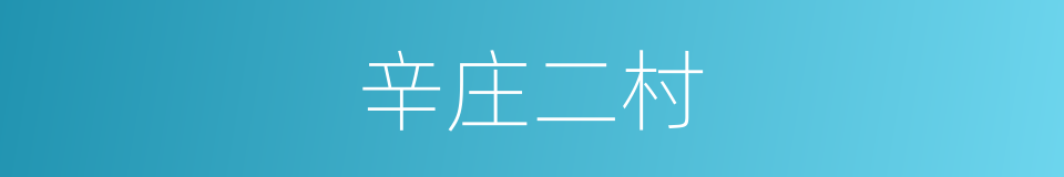 辛庄二村的同义词