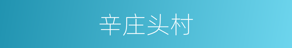 辛庄头村的同义词