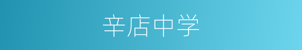 辛店中学的同义词