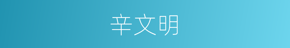 辛文明的同义词