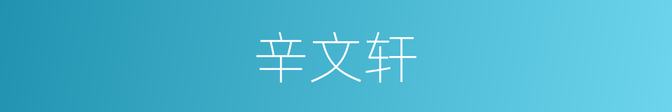 辛文轩的同义词