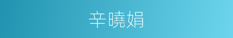 辛曉娟的同義詞