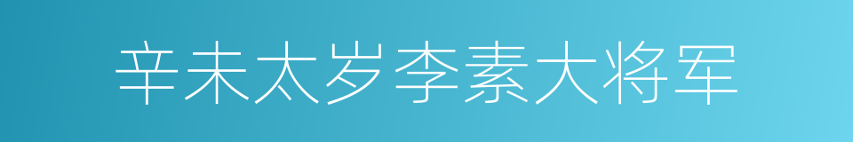 辛未太岁李素大将军的同义词