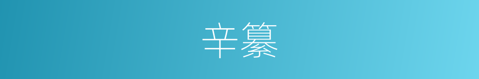 辛纂的同义词