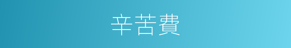 辛苦費的同義詞