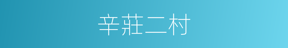 辛莊二村的同義詞