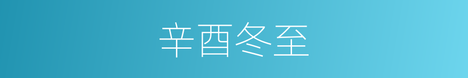 辛酉冬至的同义词