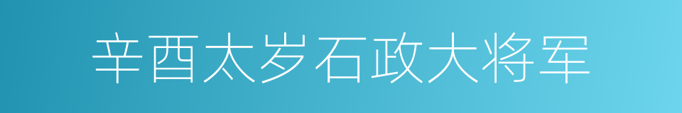 辛酉太岁石政大将军的同义词