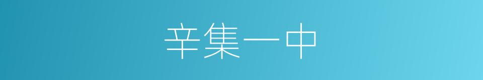 辛集一中的同义词