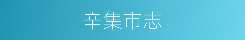 辛集市志的同义词