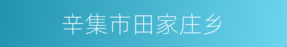 辛集市田家庄乡的同义词