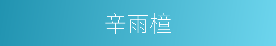 辛雨橦的同义词