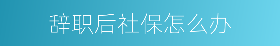 辞职后社保怎么办的同义词