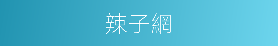 辣子網的同義詞
