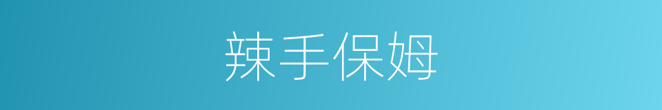 辣手保姆的同义词