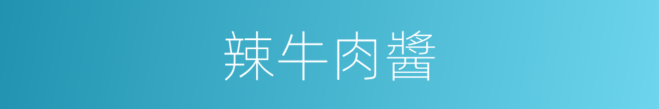 辣牛肉醬的同義詞