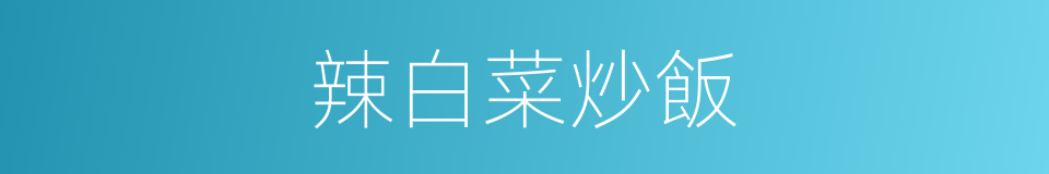 辣白菜炒飯的同義詞