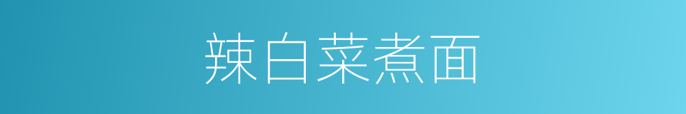 辣白菜煮面的同义词