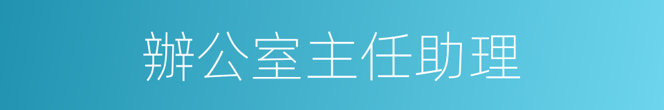 辦公室主任助理的同義詞