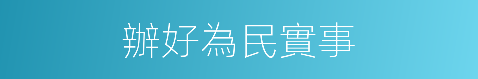 辦好為民實事的同義詞