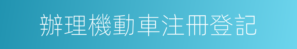 辦理機動車注冊登記的同義詞