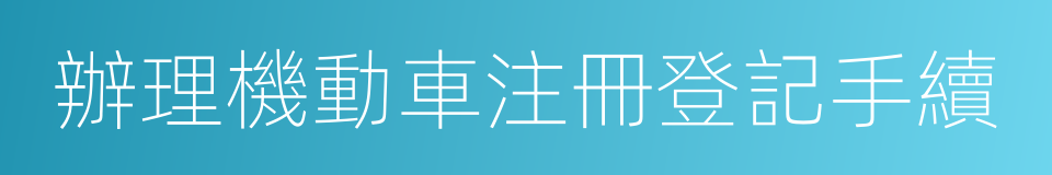 辦理機動車注冊登記手續的同義詞